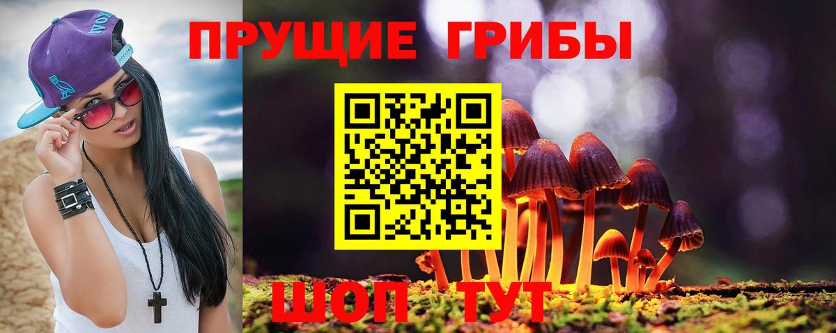 Псилоцибиновые грибы Magic Shrooms Новосибирск